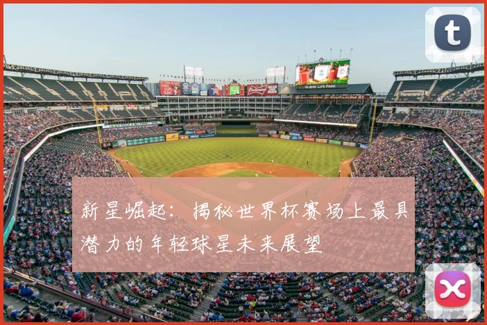 新星崛起：揭秘世界杯赛场上最具潜力的年轻球星未来展望