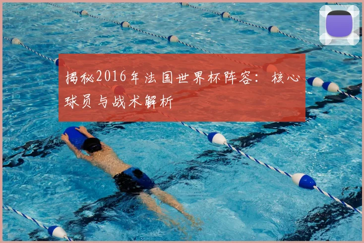 揭秘2016年法国世界杯阵容：核心球员与战术解析
