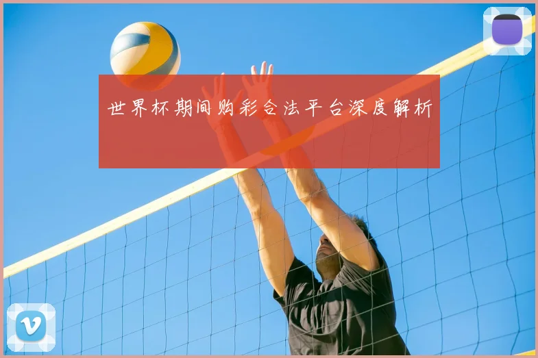 世界杯期间购彩合法平台深度解析