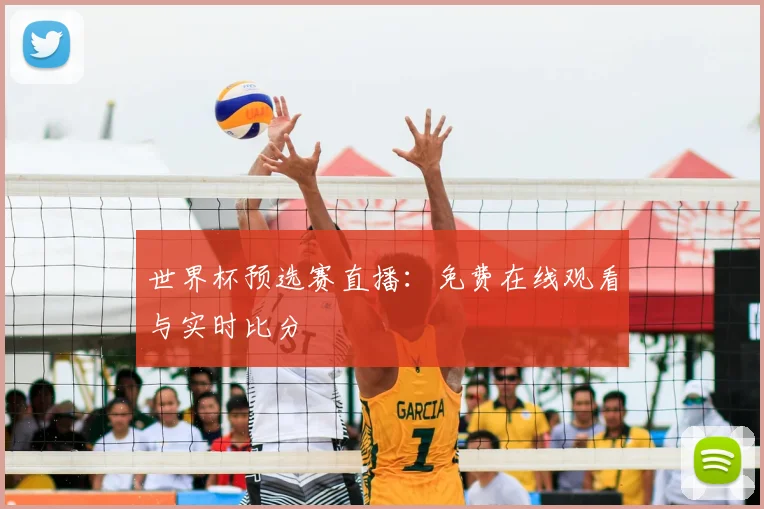 世界杯预选赛直播：免费在线观看与实时比分