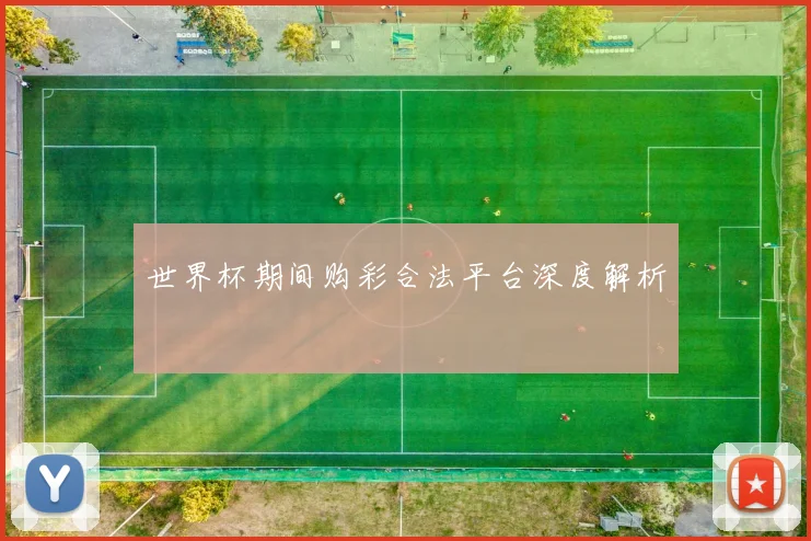 世界杯期间购彩合法平台深度解析