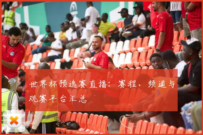 世界杯预选赛直播：赛程、频道与观赛平台汇总